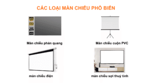 CÁC LOẠI MÀN CHIẾU PHỔ BIẾN