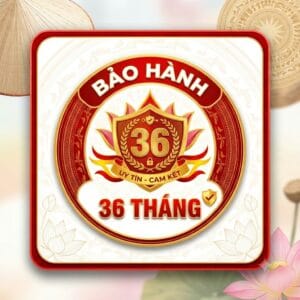 bao hanh icon