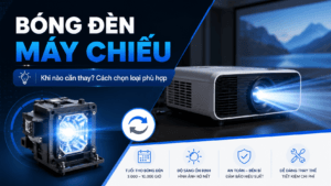 bóng đèn máy chiếu