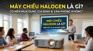 may chieu halogen