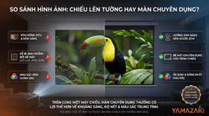 Nên dùng màn phản quang hay chiếu thẳng lên tường 2026? 1 chiếu lên tường và chiếu màn phản quang